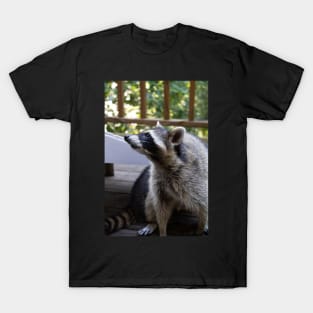 Raccoon Portrait T-Shirt